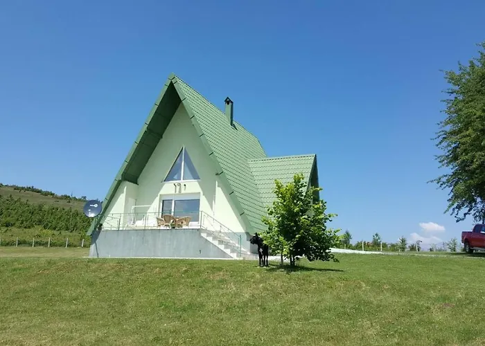 Vila Zeleno Borje